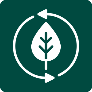 Leaf in a cycle icon representing sustainable eco-friendly dry cleaning